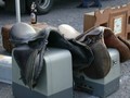 hamm0249.jpg
117,72 KB