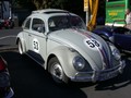 mels0393.jpg
148,98 KB 

