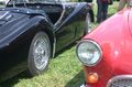 gof050068.jpg
65,53 KB