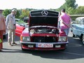 mels0411.jpg
184,48 KB 
